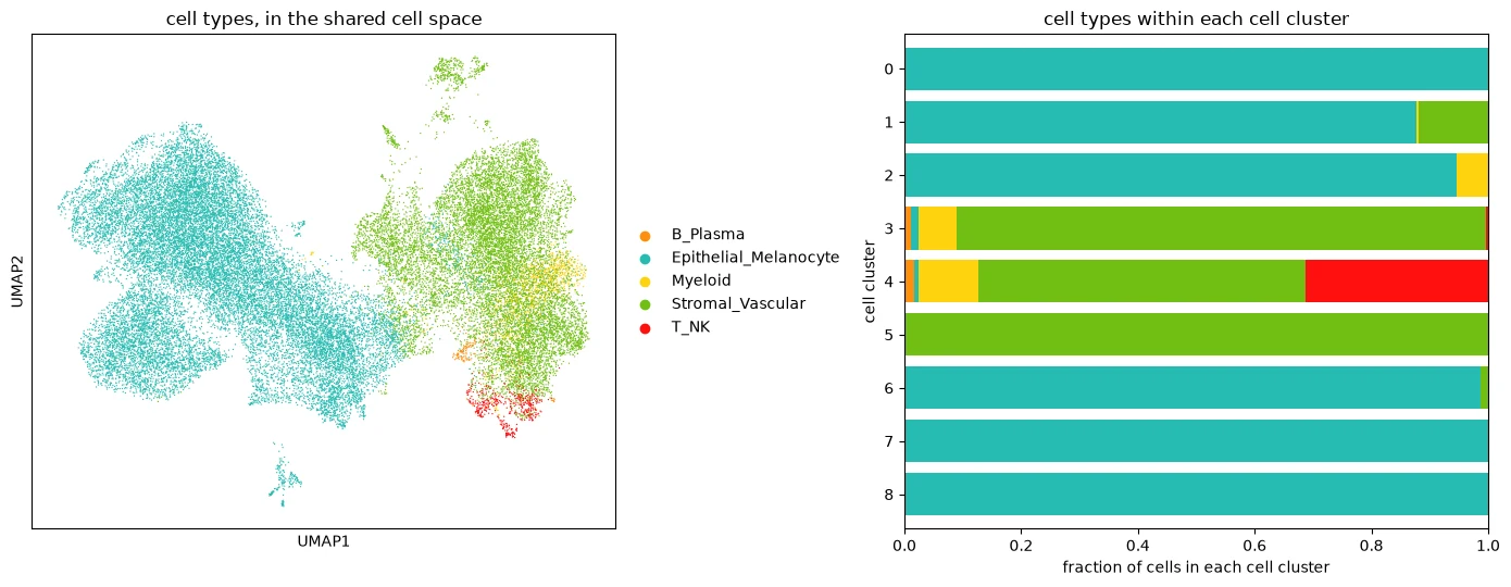 Cell types in the shared cell space and within each cell embedding cluster