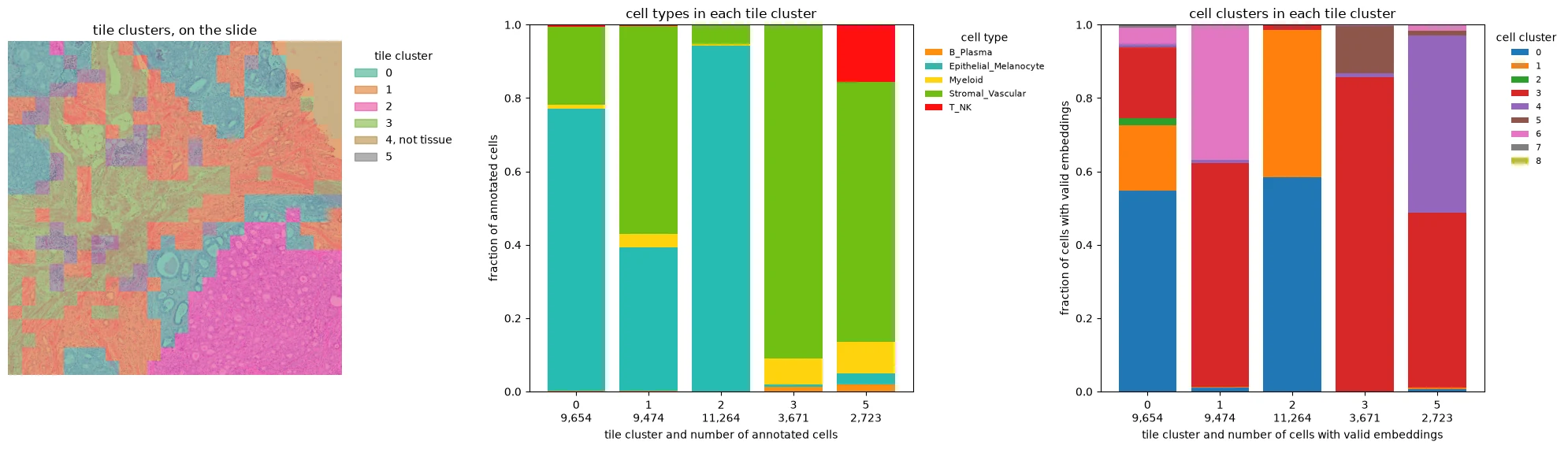 Tile embedding clusters on the H&E with cell-type and cell-cluster composition